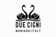 Due cigni