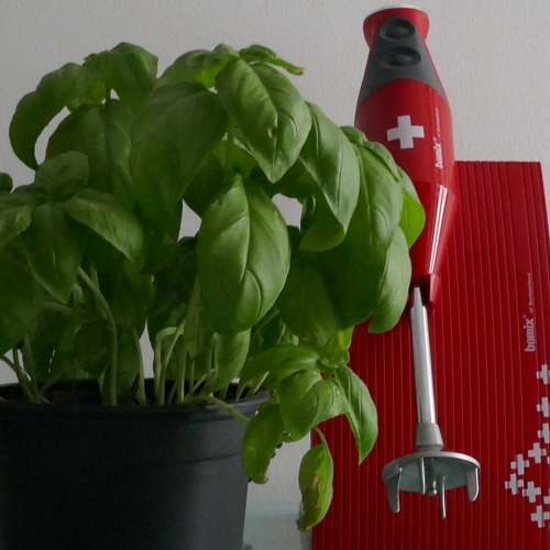 pesto_col_bamix